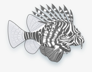 Image Of A Lionfish - Lionfish