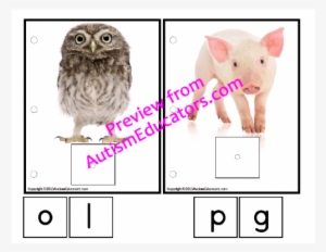 Letter Sounds Interactive Work Task Bundle For Autism/special - Owl Picture With White Background