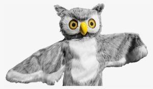 Ody Owl - Snowy Owl
