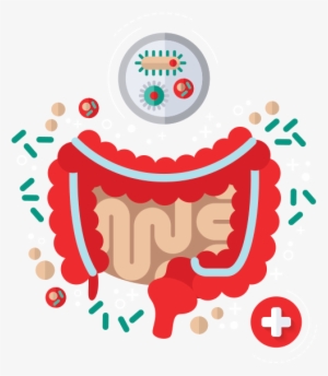 Intestinal Health Infographic - Health