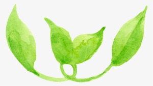 Dibujos Animados De Png Transparente Hoja De Serpentina - Leaf