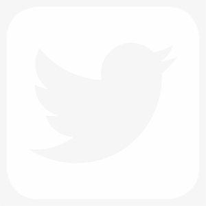 Facebook Icon Twitter Icon - Twitter Logo White Box