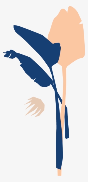 Bloomscape Bird Of Paradise - Illustration