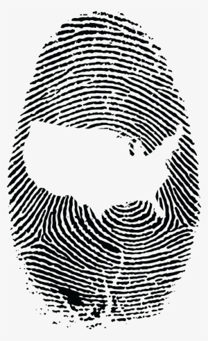 Free Clipart Of A Thumb Print With The United States - Fingerprint Fibonacci Sequence
