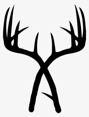 Ubicación - Drawing Of Deer Antlers