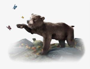 While You're In The Store, Why Not Check Out The Adorable - Eso Bear Pet