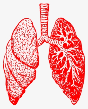 Asthma And Ignition Interlock