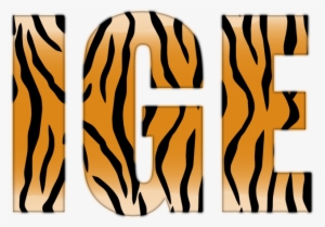 Tiger Stripe Font - Tiger Png Text