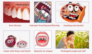 Common Causes Of Bad Breath Or Halitosis - Dental