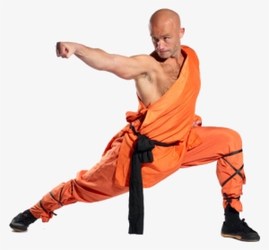 Kungfu Png - Snake Kung Fu Stance