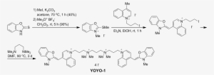 yoyo-1 fluorescent dye synthesis - free radical promoted cationic polymerization