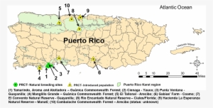 Prct Map - « - Puerto Rico En Blanco