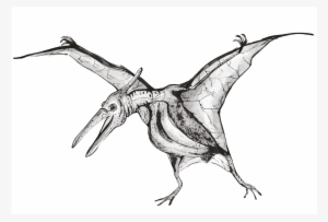 Indominus Rex - Sketch