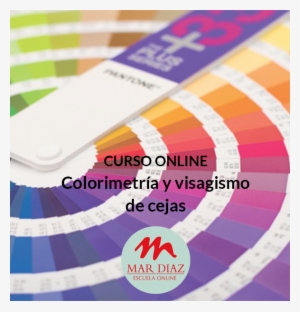 Curso Online De Colorimetría Y Visagismo De Cejas - Color