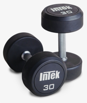 Plate Clipart Weight Lifting - Rubber Dumbbell