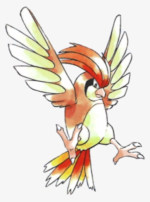 Folks Who Have Been Long Stay Fans Of The Game Freak - Pokemon Pidgeotto