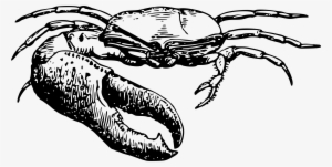 This Free Icons Png Design Of Fiddler Crab 2