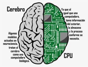 Brain Computer