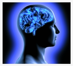 Los Nuevos Dispositivos Pueden Ser Usados Para Escanear - Brain Supplements: Everything You Need To Know Ntal