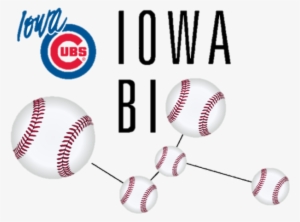 Iowa Cubs Outing Sponsorship - Cafepress Design King Duvet
