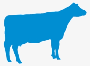 Cow-logo - Milk Cow Logo Png