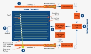 Spark Chamber Muons