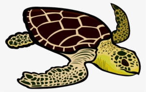 Leatherback Turtle Clipart Sea Turtles - Green Sea Turtle Clipart