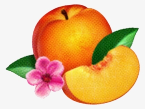 6353361 - Phoenix Bankrupt