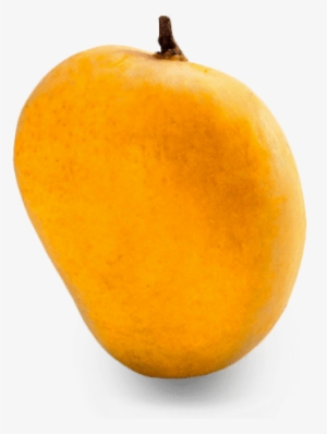 Alphonso Mangoes Large Box - Apple