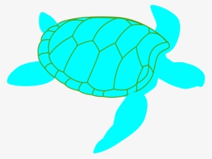Sea Turtle Clip Art At Vector Wikiclipart - Turtle Clip Art