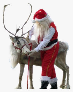 The Best Christmas Attraction Ever - Real Santa And Reindeer Png