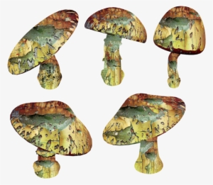 Trippy Mushroom Png - Magic Mushrooms Png