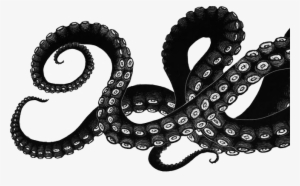 Image Result For Tentacles Drawing - Octopus Tentacles Drawing