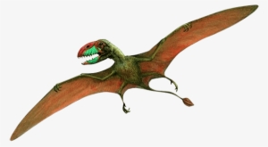 Bones Of Dinosaurs Foot - Flying Dinosaur Png