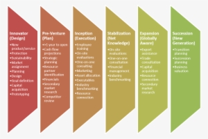 Chart From Innovator To Succession Business Life Stages - Grow My Business