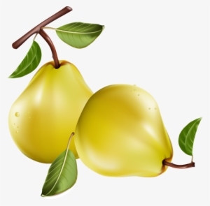 Fruit - Pears Clipart Free