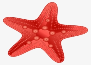 Red Starfish Png - Starfish