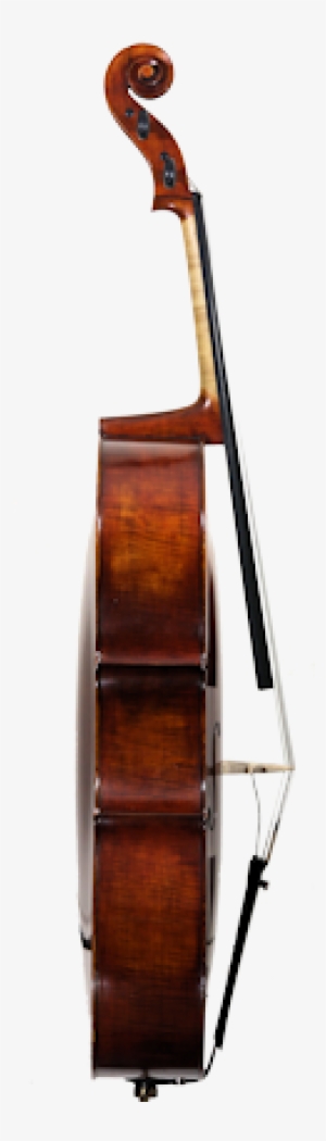 Cello Side