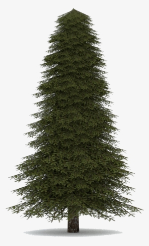 Fir-tree - Realistic Christmas Tree