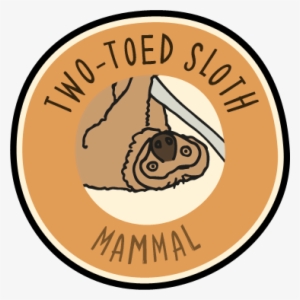 Visit The Zoo And Collect This Animal's Badge In Our