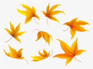 Fall Leaves Png