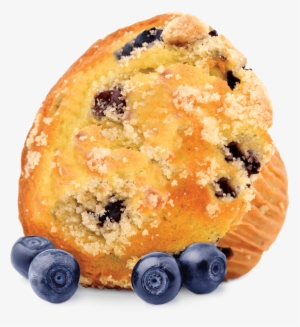 Blueberry Muffin - Muffin