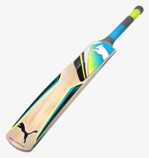 Puma Calibre Cricket Bat Profile - Cricket
