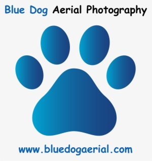 Dog Paw Print In Blue