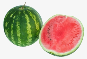 Watermelon - Livro - Tropical Impact On Your English 7