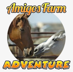Amigos Farm Adventure Tour By Amigos Cabo - Cabo San Lucas
