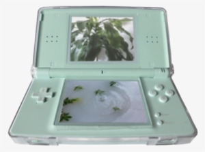Aesthetic Plants And Nintendo Ds Lite Image Nintendo Ds