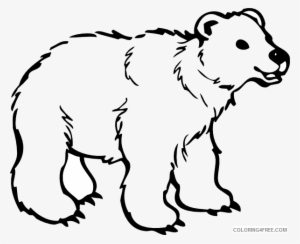 Grizzly Bear Bear 20clip 20art Bear 1 Png Vqxww8 Coloring - Bear Cartoon Black And White