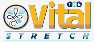 vital - ahp physical therapy