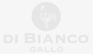 Di Bianco Gallo - Janssen Cosmeceutical